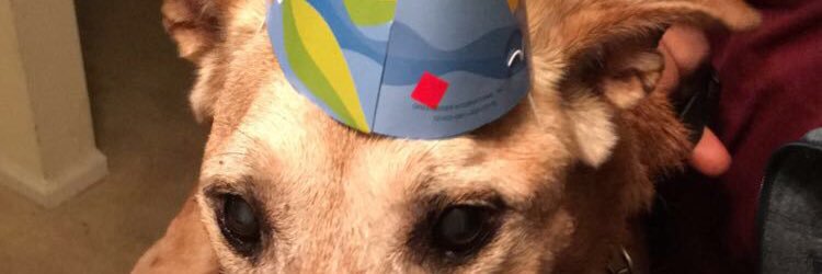 she_so_thick's profile banner image