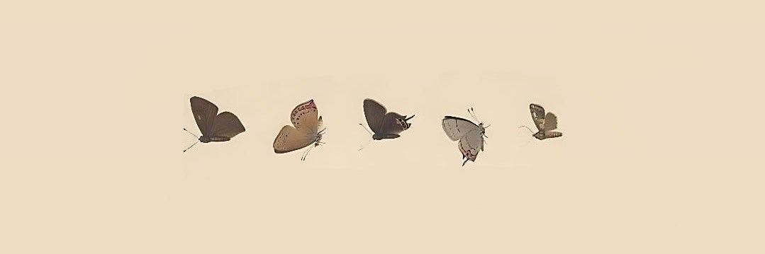 mrymllll's profile banner image
