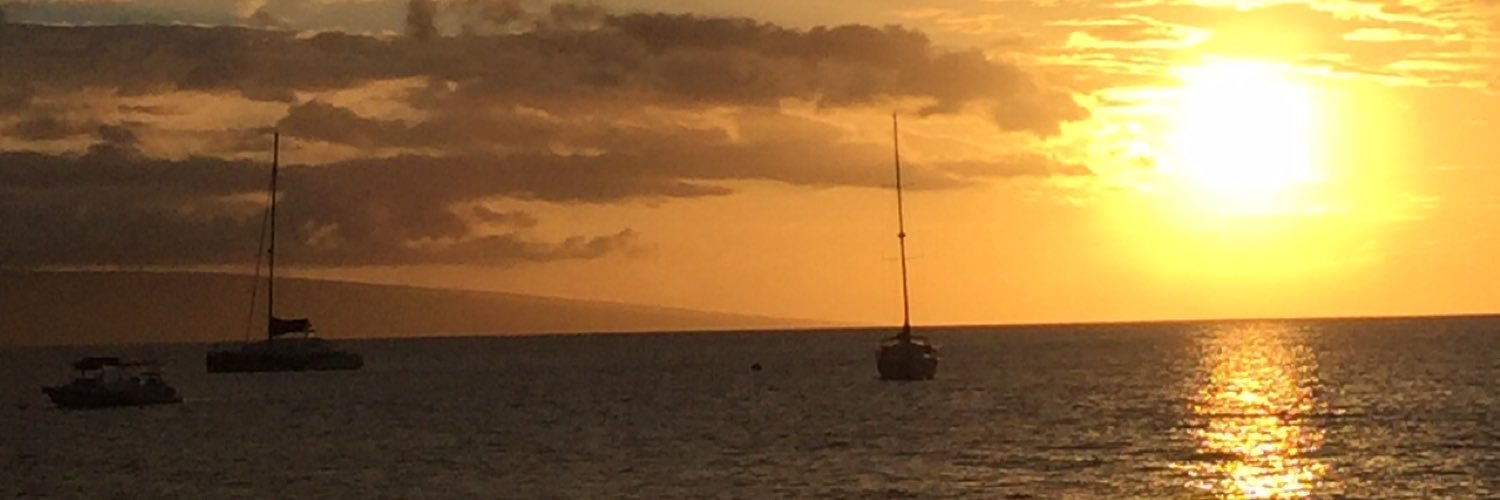 REsocialBEE's profile banner image