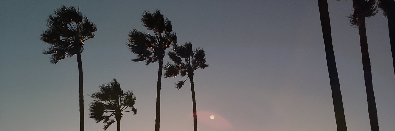 riedmartin's profile banner image