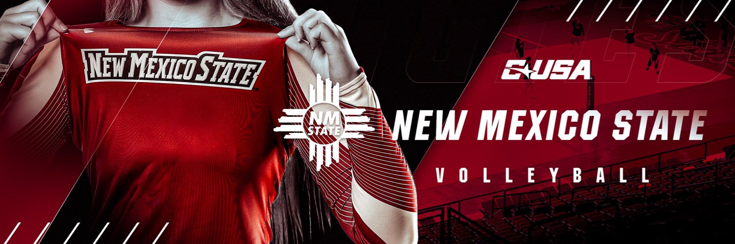 NM State Volleyball's banner