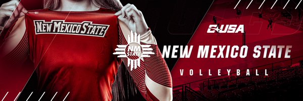 NMStateVBall Profile Banner