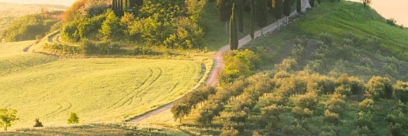 yodeletras's profile banner image