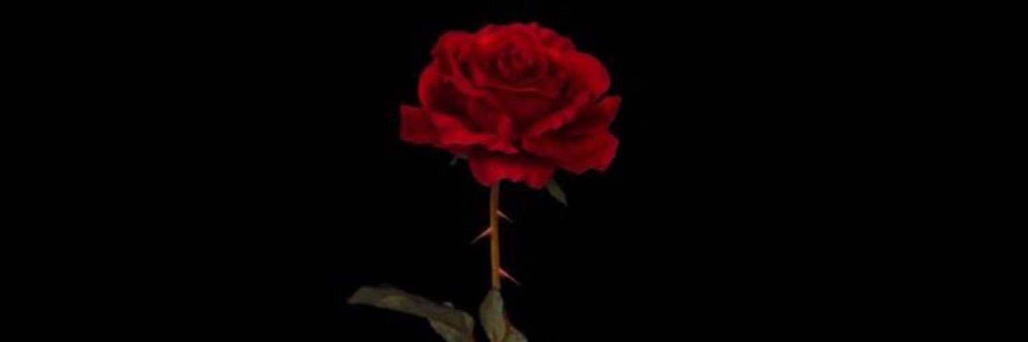 pb_josh3's profile banner image