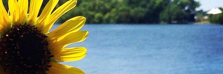 abbiebalevic's profile banner image
