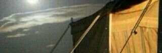 tofi_1415's profile banner image