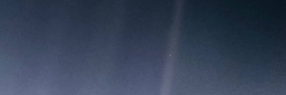 neeldey's profile banner image