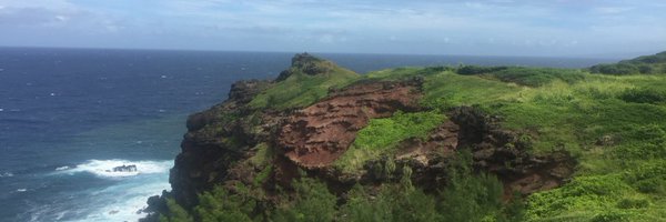 SaraLenherr Profile Banner