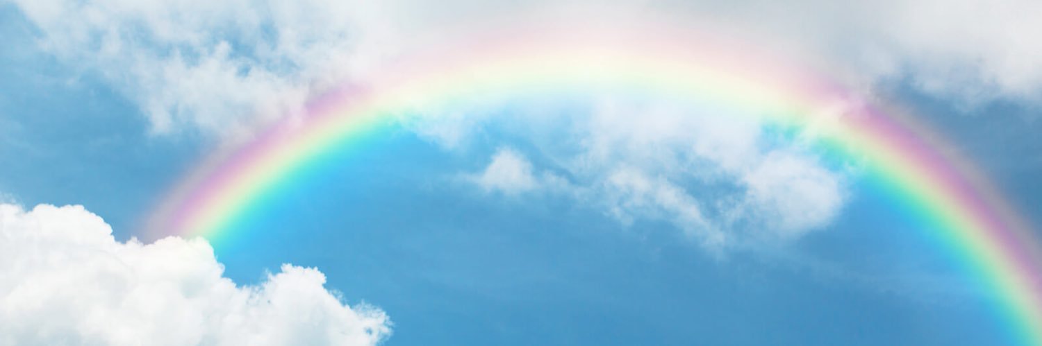 MrsFurtek's profile banner image
