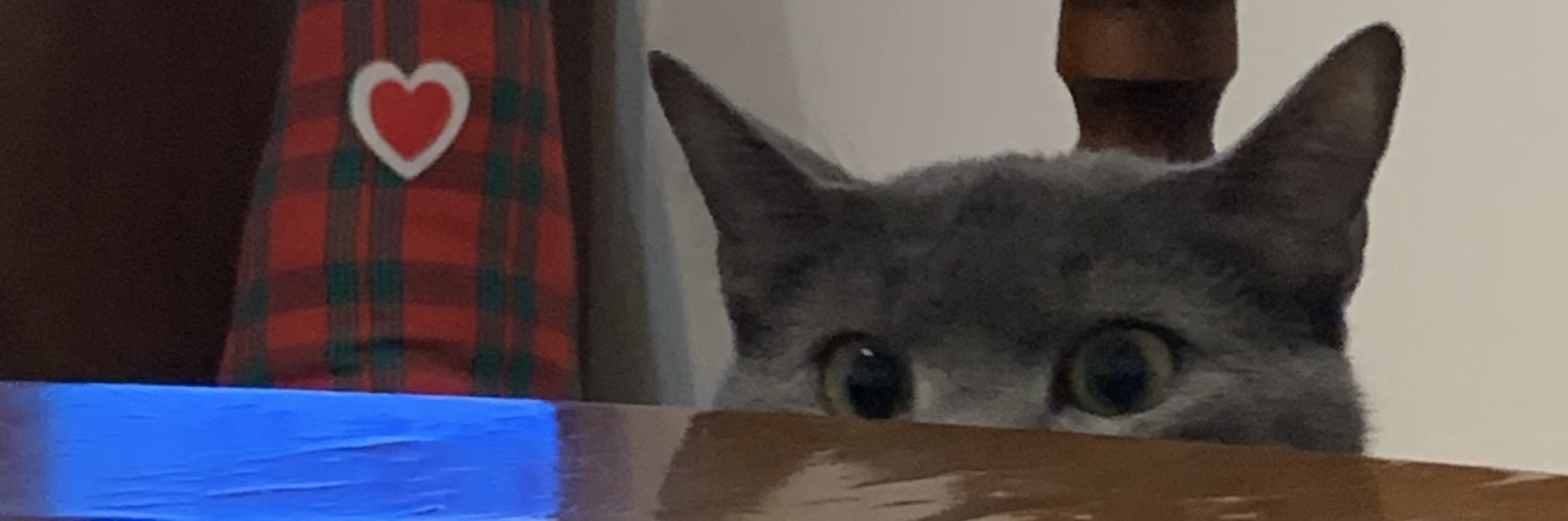 SacchelliC's profile banner image