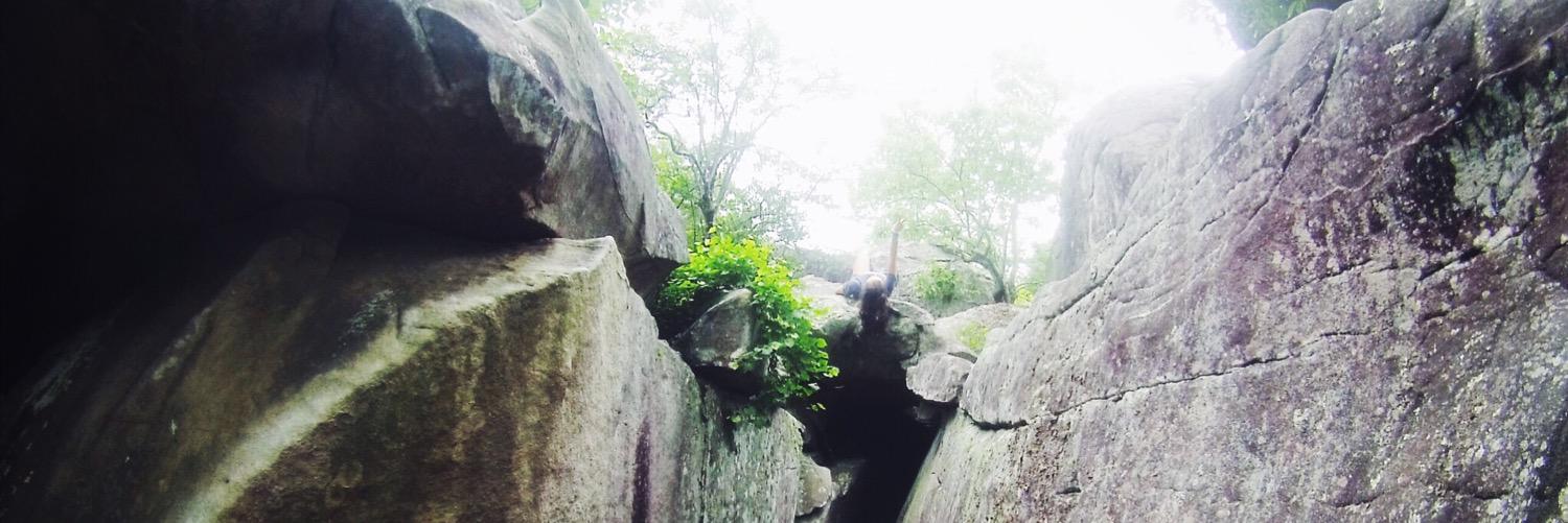 TaylorWiley's profile banner image