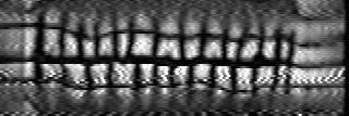 coriumheap's profile banner image
