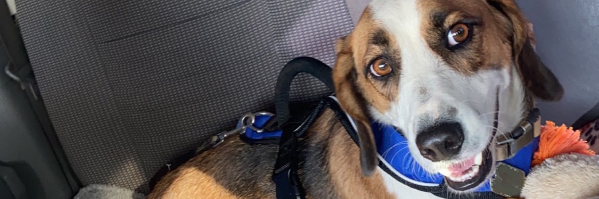 mateom_07's profile banner image