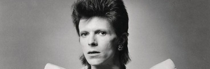 Bowiefer's profile banner image