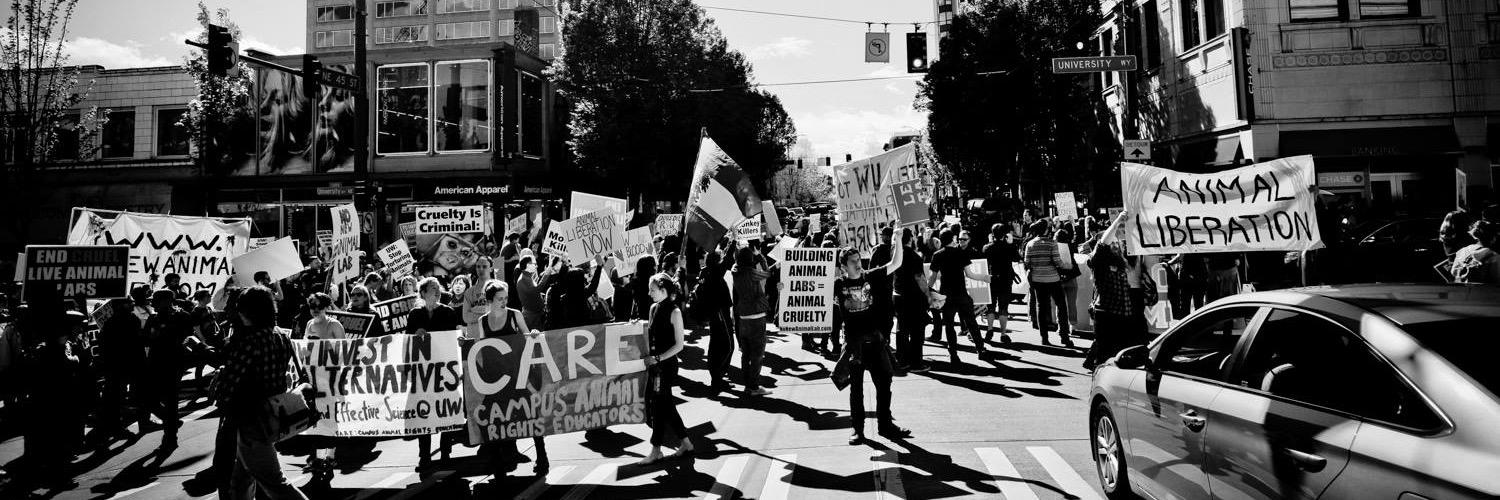 No New Animal Lab banner