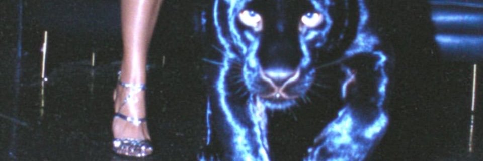 imakgul's profile banner image