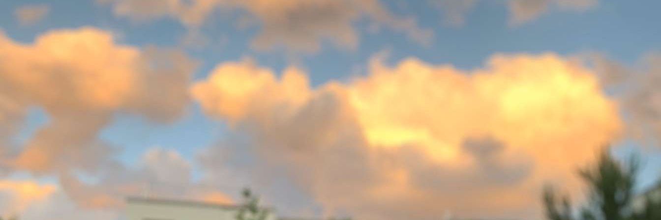 VIEDEWOLFIE's profile banner image