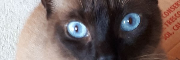 mnunest9 Profile Banner