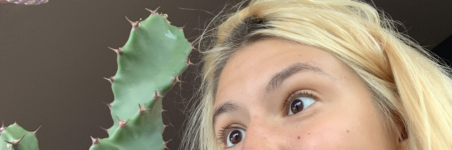 seylanezbin's profile banner image