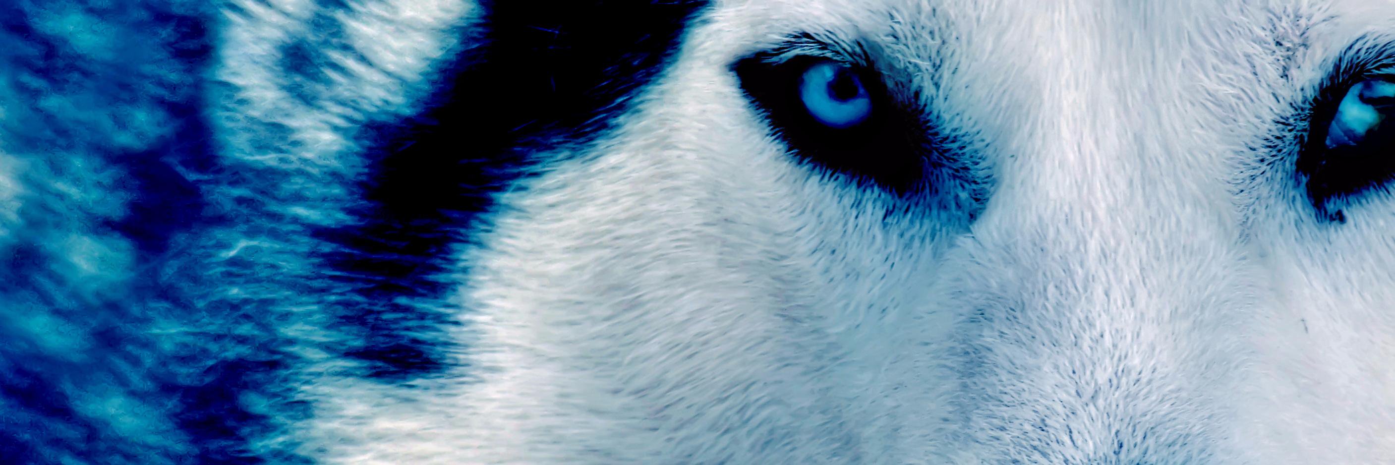 Noxius3D's profile banner image