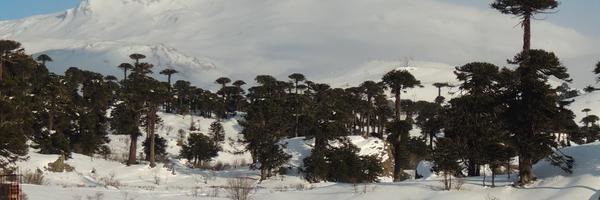 alemoguilner Profile Banner