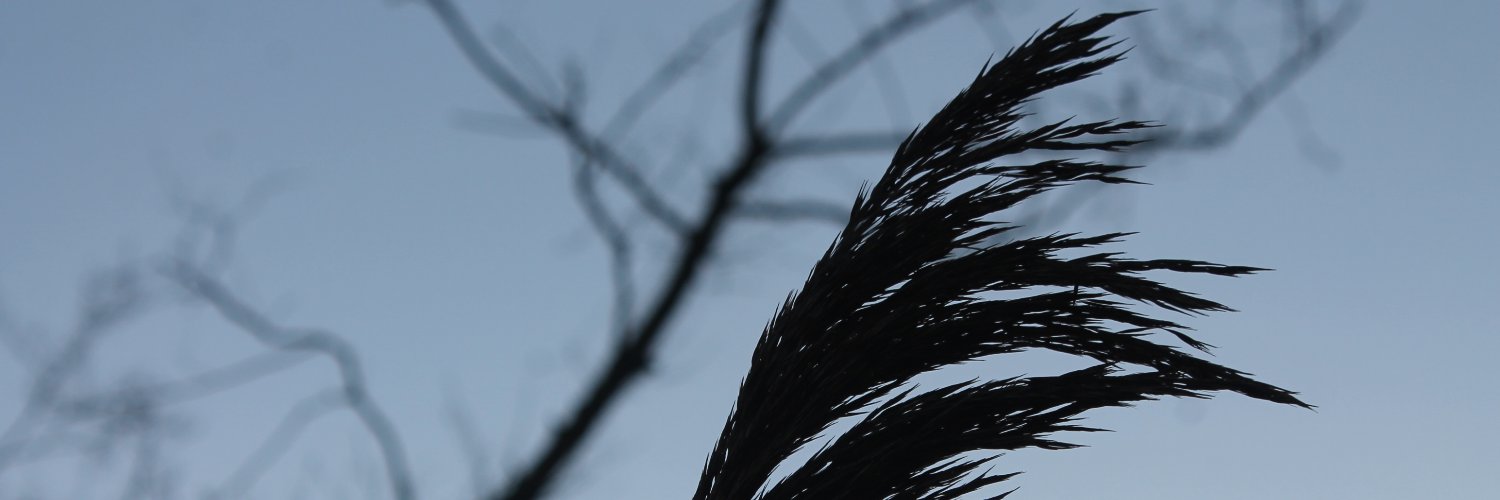 profraika's profile banner image