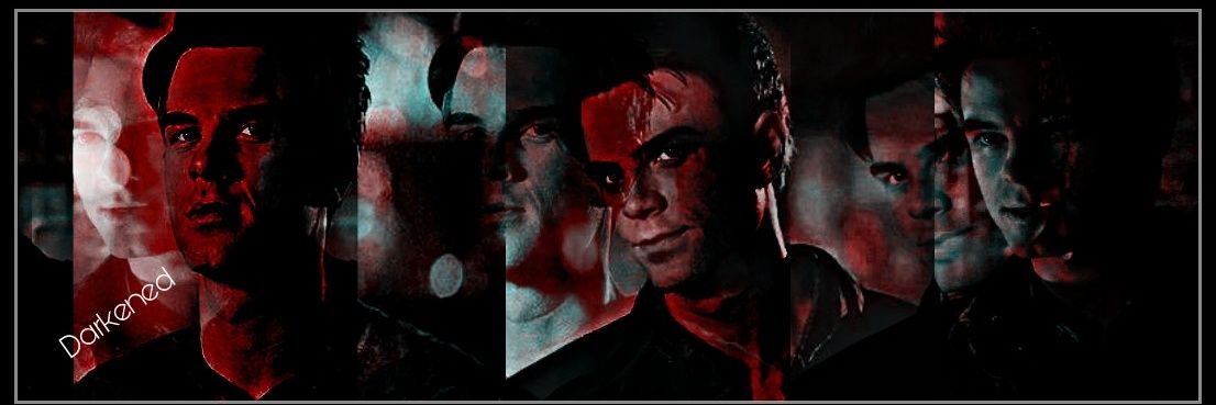 DarkenedFox's profile banner image