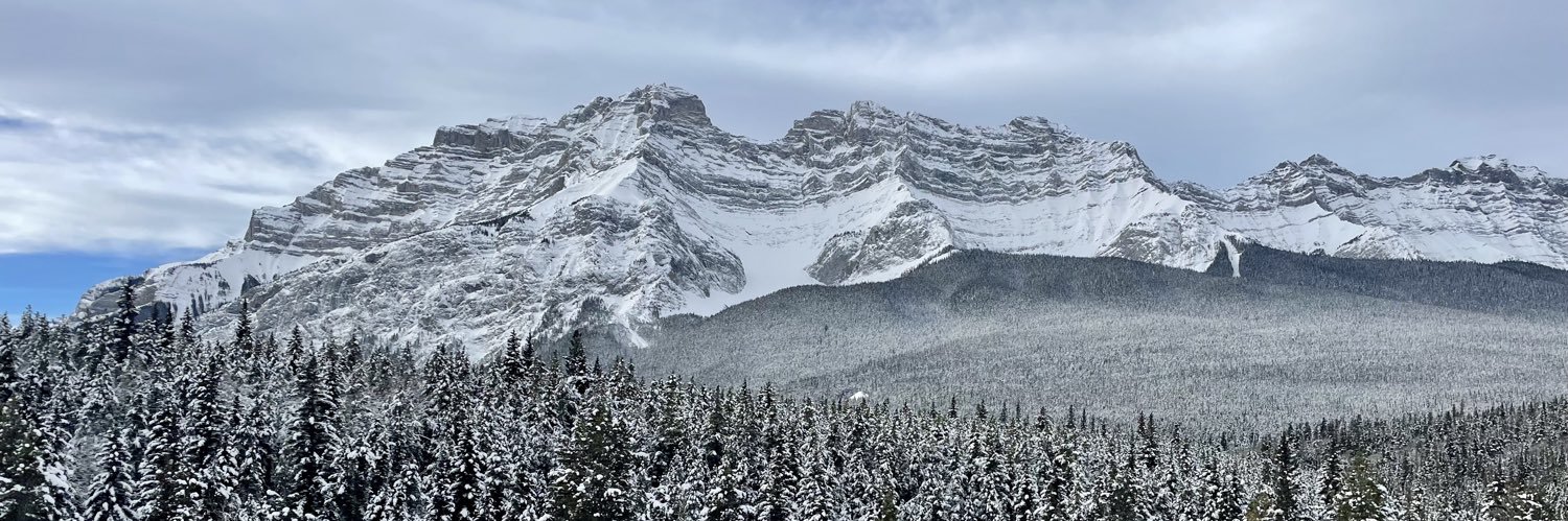 MadisonRich1's profile banner image