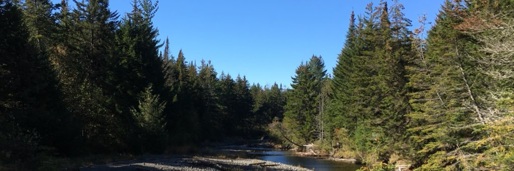 RoweCarson's profile banner image