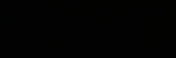 LoneStarLeft Profile Banner