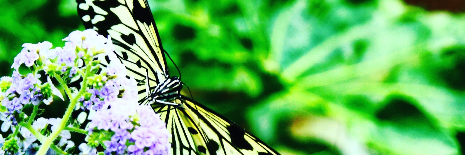 _tillymae_'s profile banner image