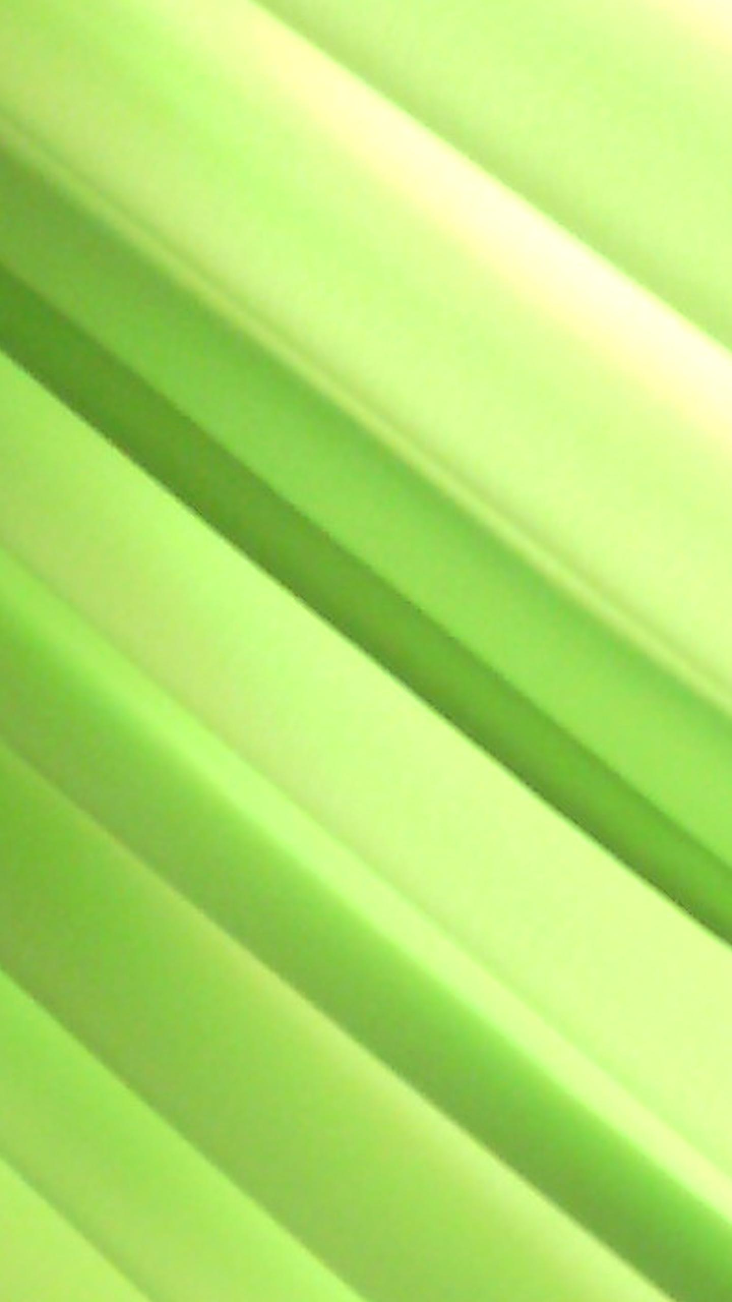 hidalgos's profile banner image