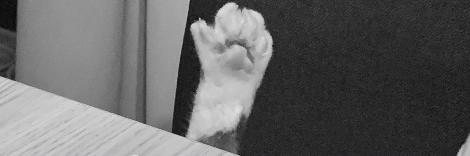 ElisaPumpkin's profile banner image