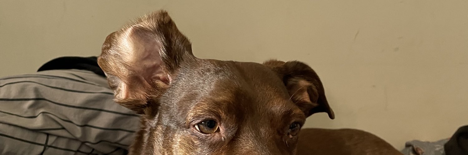 carol_ls4's profile banner image