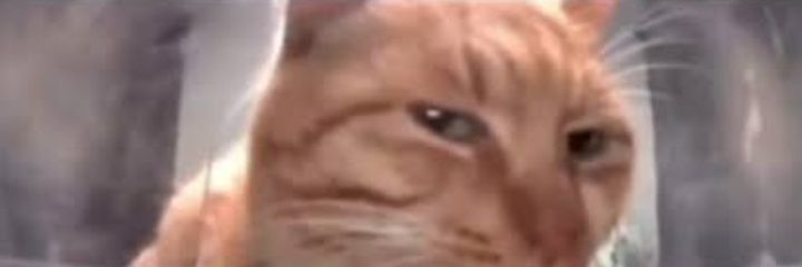 pickachula18's profile banner image