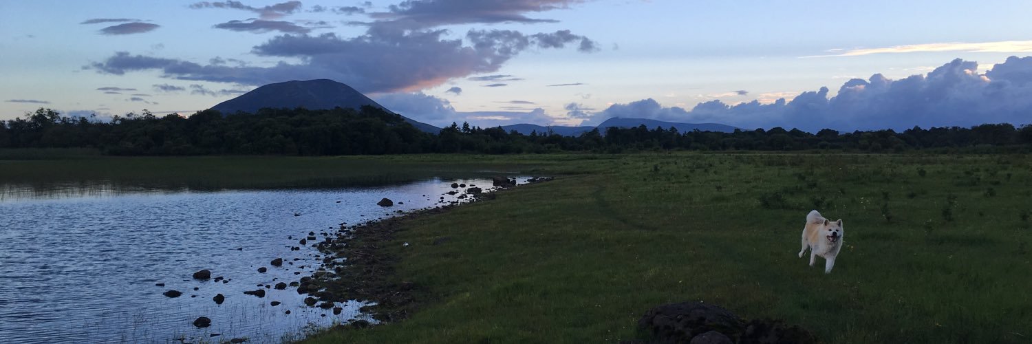 elbur1's profile banner image
