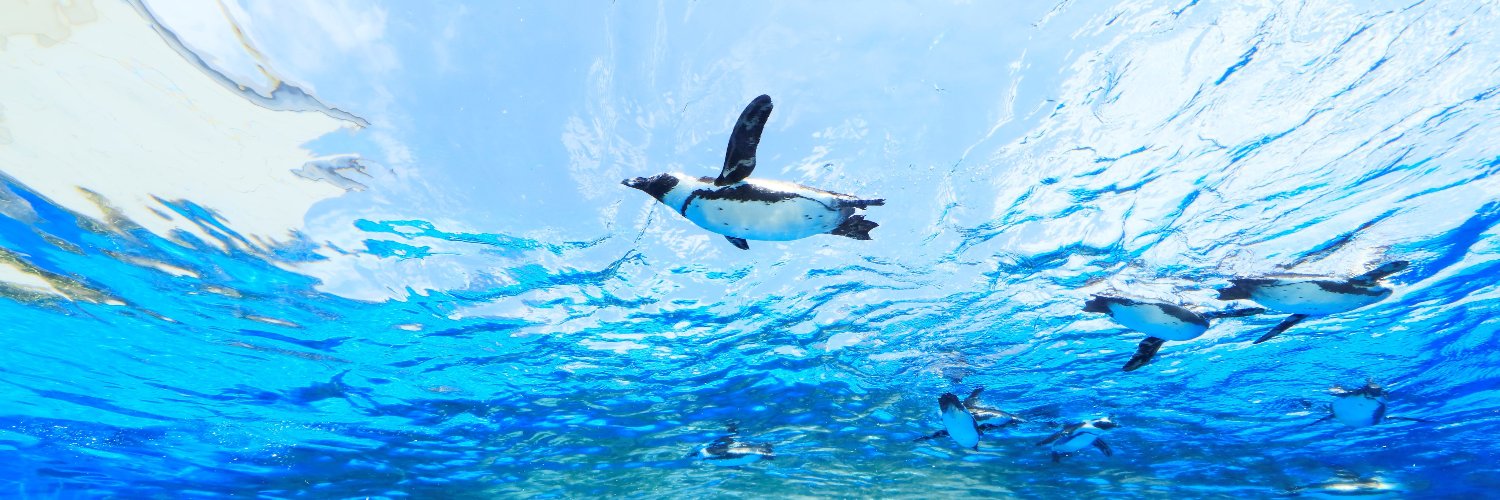 サンシャイン水族館's banner