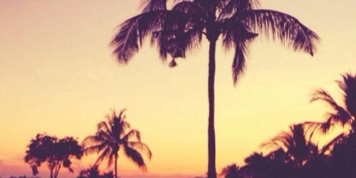 Gossip banner
