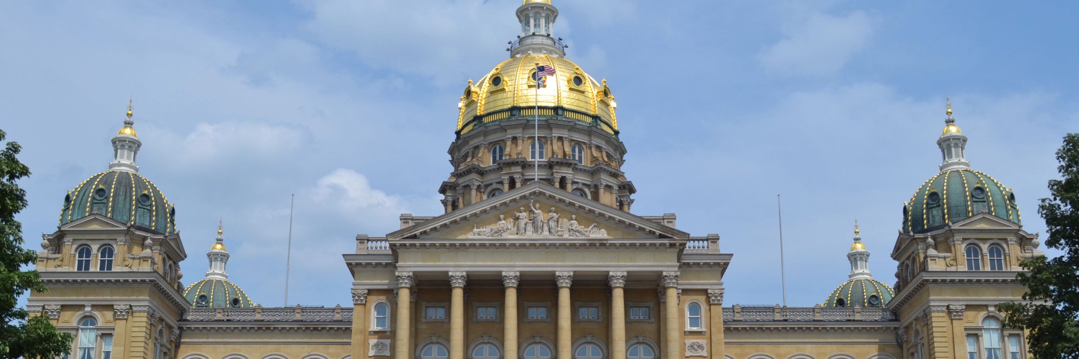 Iowa Senate Democrats banner