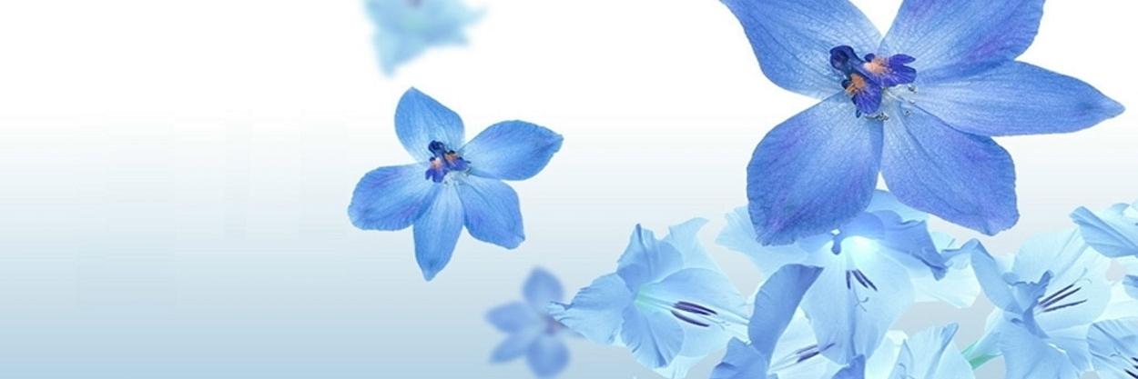 craftsisme's profile banner image