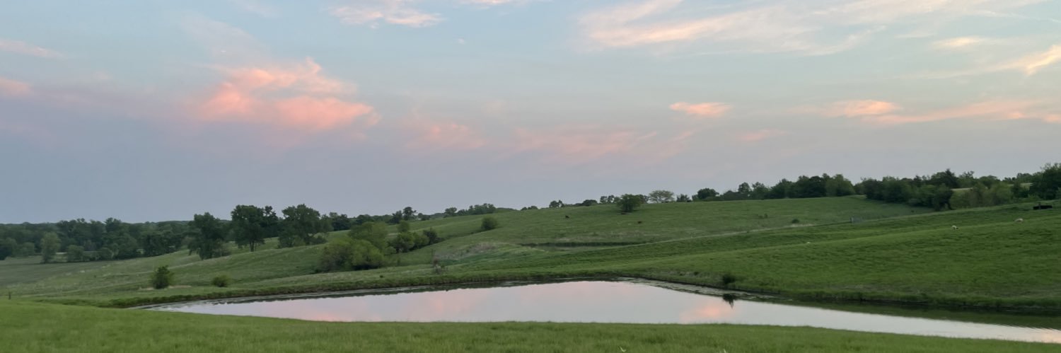 mhagan01's profile banner image