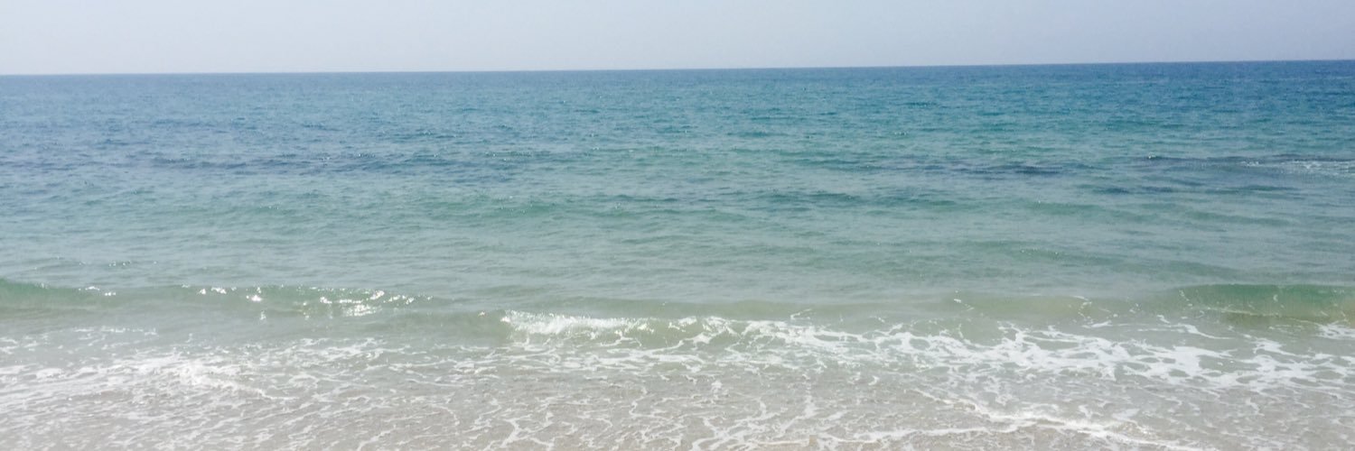 e_pini's profile banner image