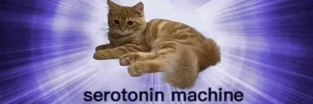 Memes Politizados banner