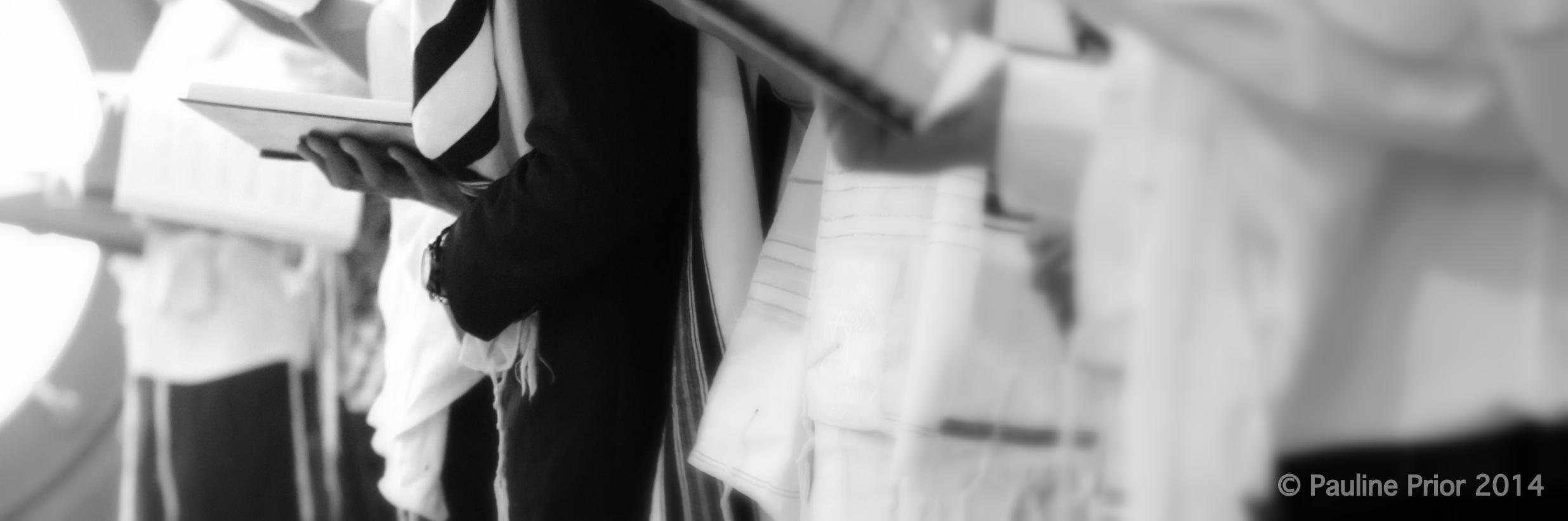 avigayildagea's profile banner image