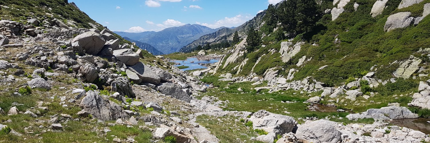 VincentKranen's profile banner image