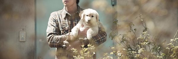 AprilFoolsPeppa's profile banner image