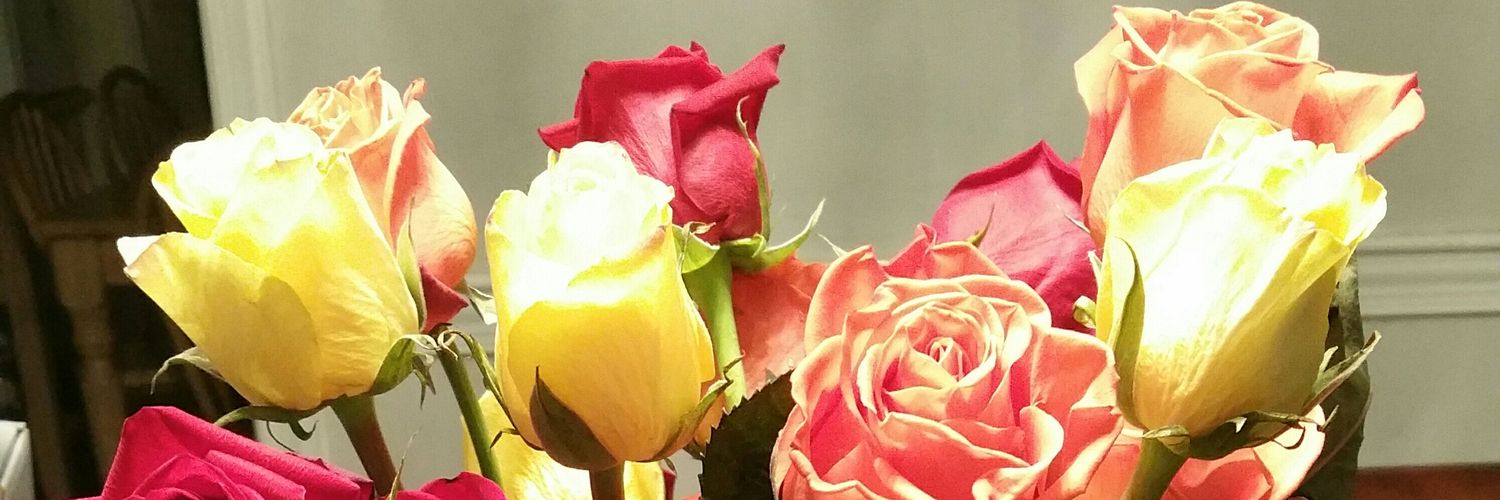 MomLynn1's profile banner image