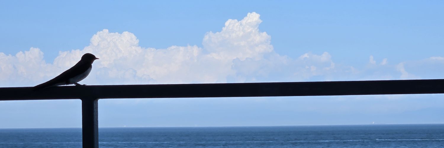 まっつん banner