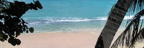 ___Mcjs___'s profile banner image