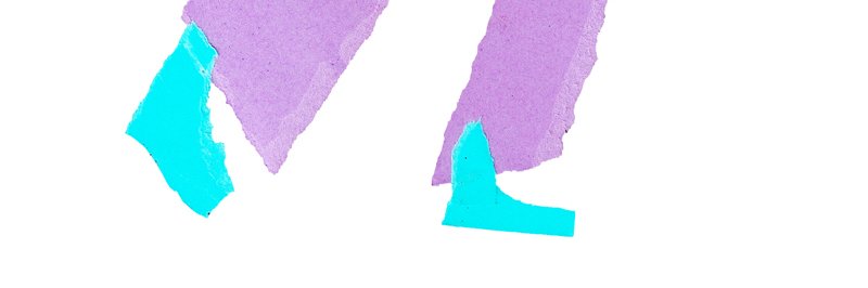 gonzalesfdebora's profile banner image